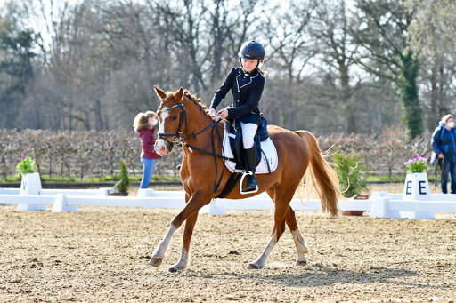 Reitsportzentrum Bremervörde | Reiter WB 1 Abt _085 