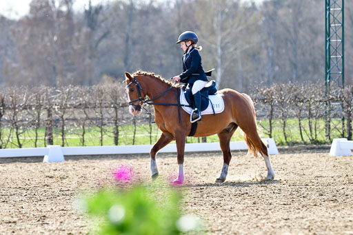 Reitsportzentrum Bremervörde | Reiter WB 1 Abt _087 