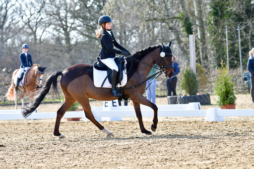 Reitsportzentrum Bremervörde | Reiter WB 1 Abt _091 