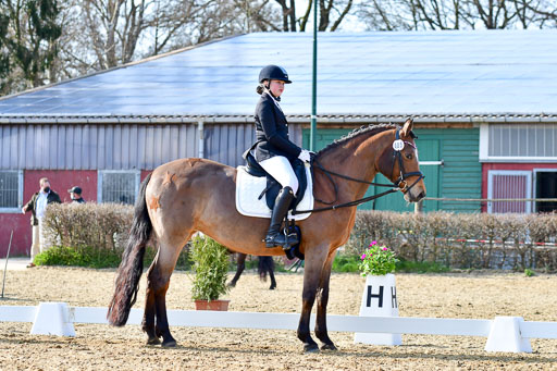 Reitsportzentrum Bremervörde | Reiter WB 1 Abt _094 