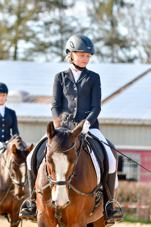 Reitsportzentrum Bremervörde | Reiter WB 1 Abt _104 