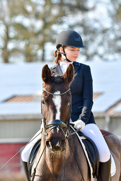 Reitsportzentrum Bremervörde | Reiter WB 1 Abt _105 