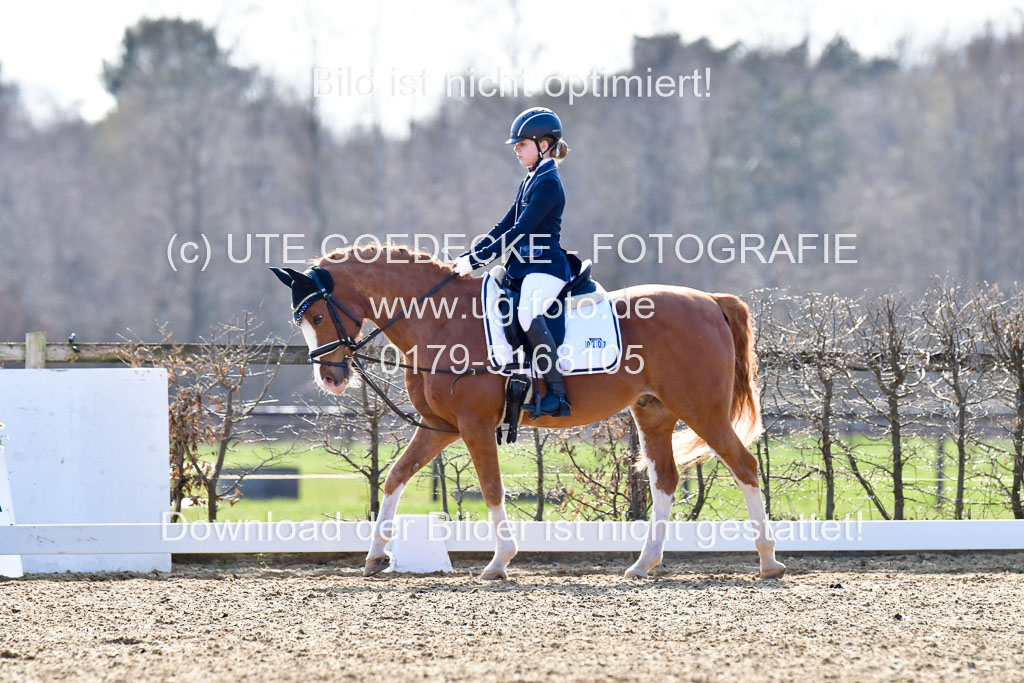 Reitsportzentrum Bremervörde | Reiter WB 2 Abt _001