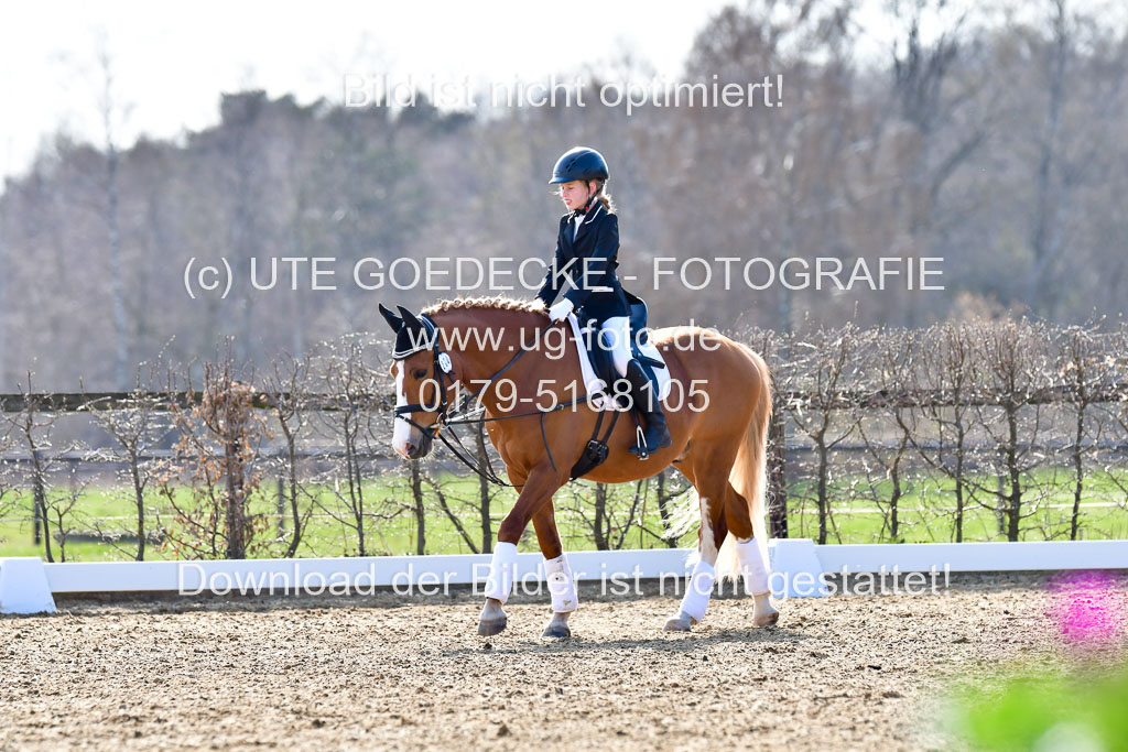 Reitsportzentrum Bremervörde | Reiter WB 2 Abt _002