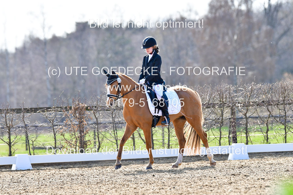 Reitsportzentrum Bremervörde | Reiter WB 2 Abt _003