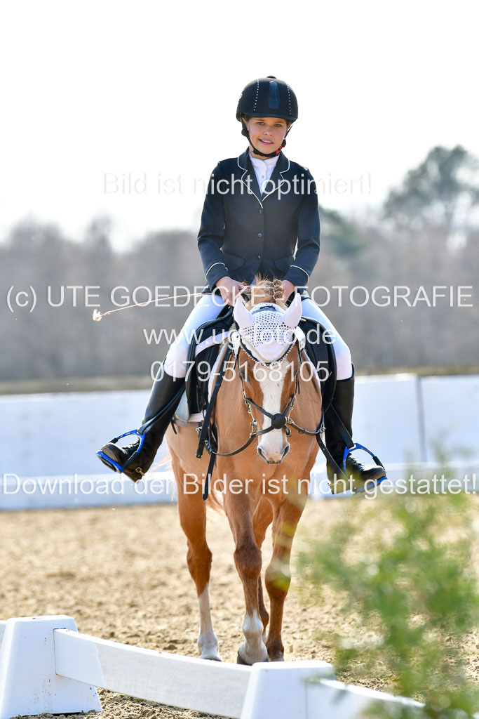 Reitsportzentrum Bremervörde | Reiter WB 2 Abt _004