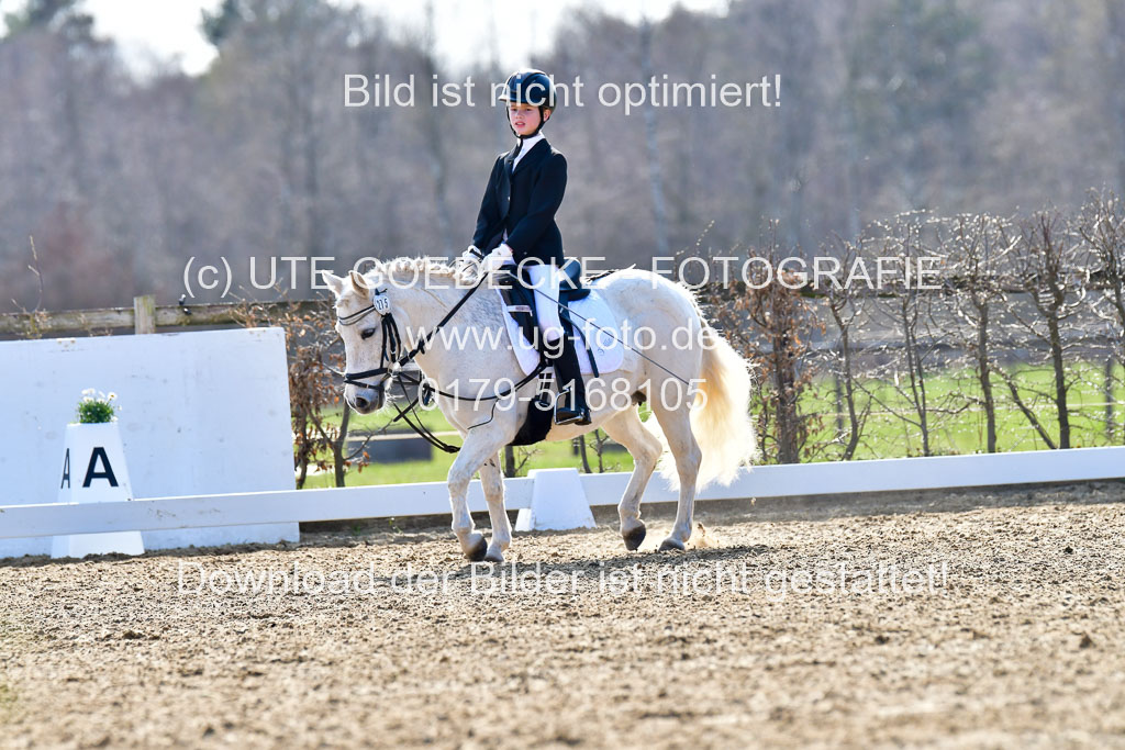 Reitsportzentrum Bremervörde | Reiter WB 2 Abt _005