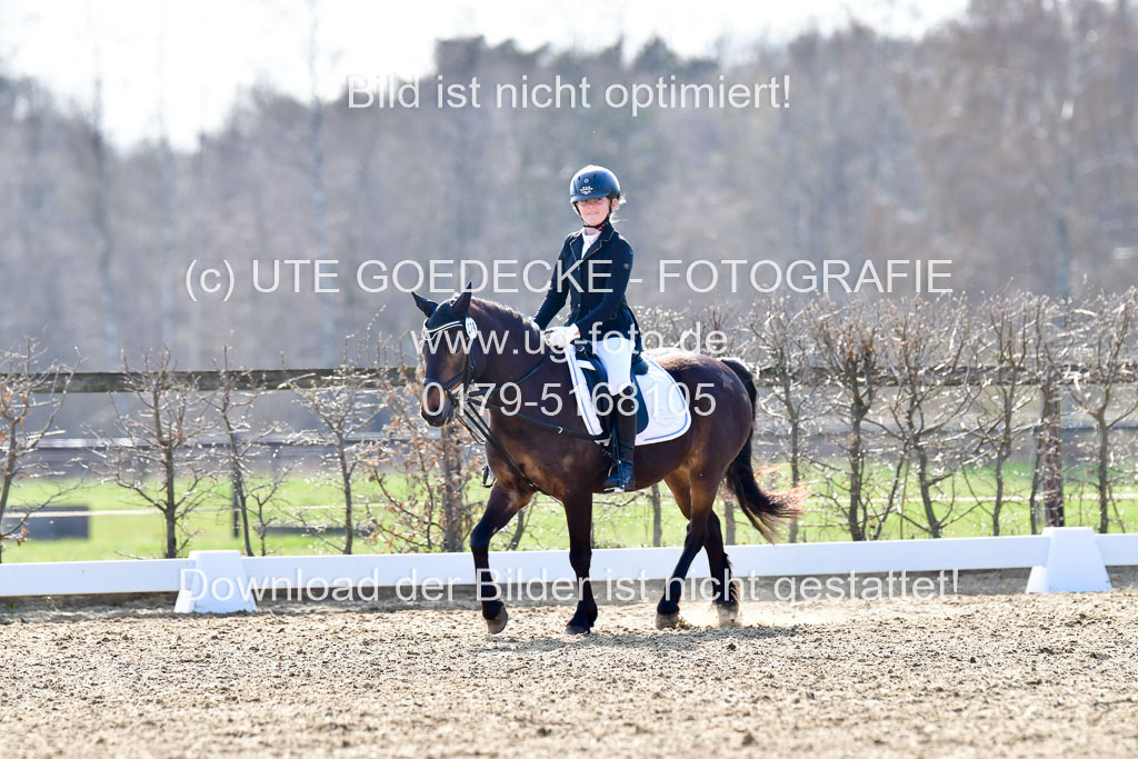 Reitsportzentrum Bremervörde | Reiter WB 2 Abt _006