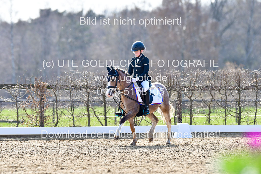 Reitsportzentrum Bremervörde | Reiter WB 2 Abt _007