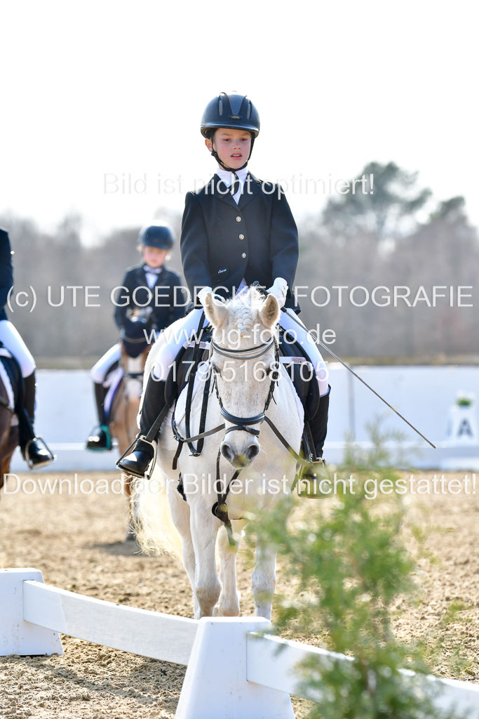 Reitsportzentrum Bremervörde | Reiter WB 2 Abt _008