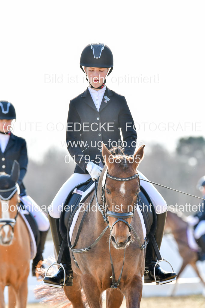 Reitsportzentrum Bremervörde | Reiter WB 2 Abt _012