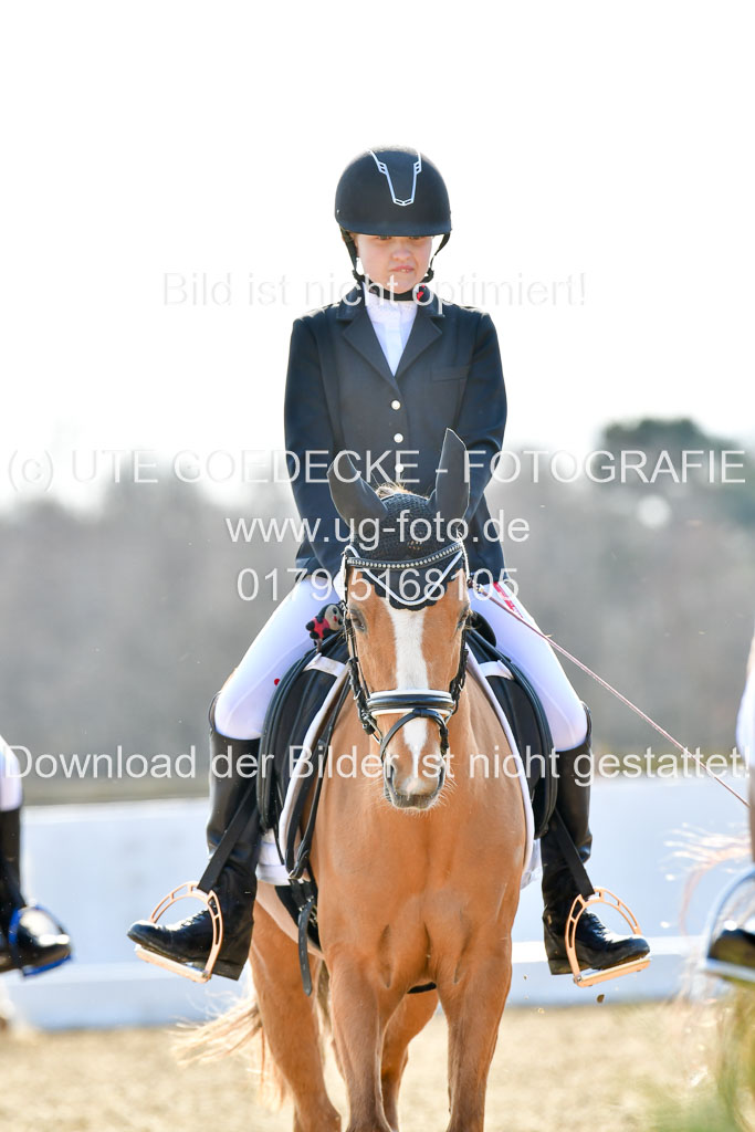 Reitsportzentrum Bremervörde | Reiter WB 2 Abt _013
