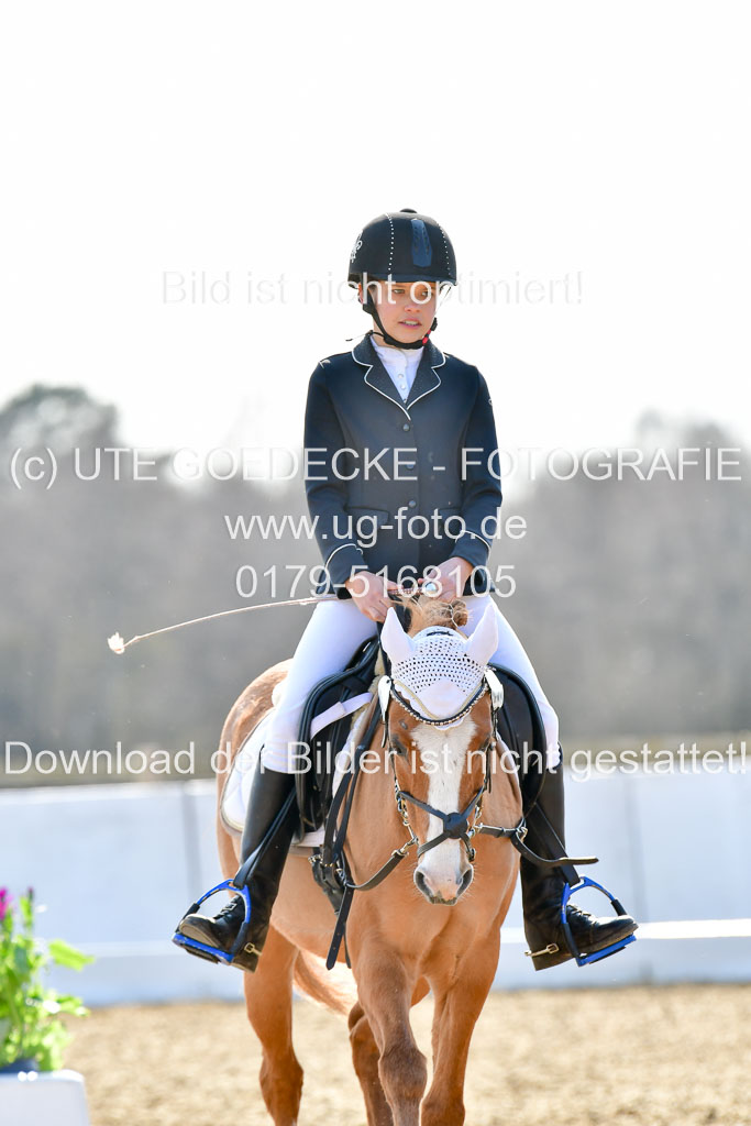 Reitsportzentrum Bremervörde | Reiter WB 2 Abt _014