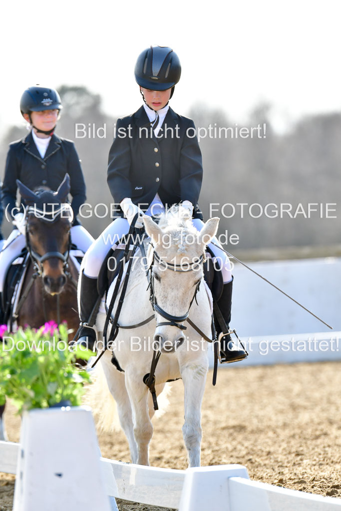 Reitsportzentrum Bremervörde | Reiter WB 2 Abt _016