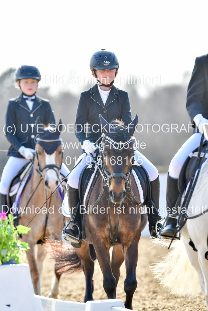 Reitsportzentrum Bremervörde | Reiter WB 2 Abt _017
