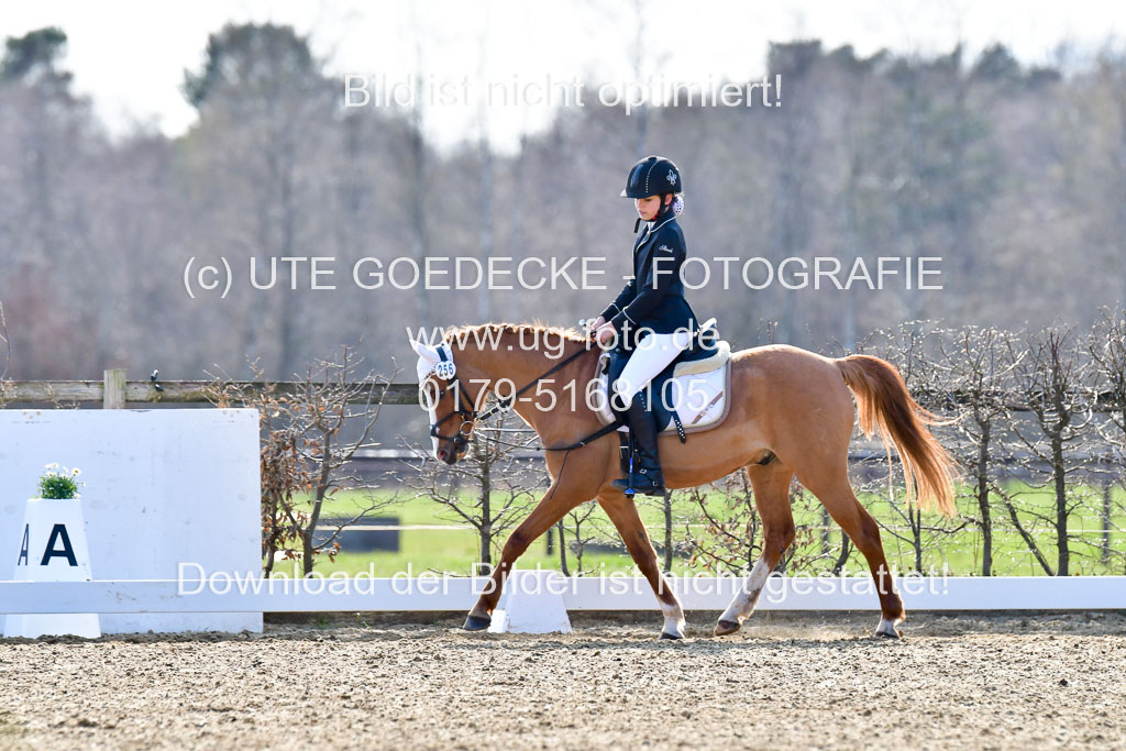Reitsportzentrum Bremervörde | Reiter WB 2 Abt _018