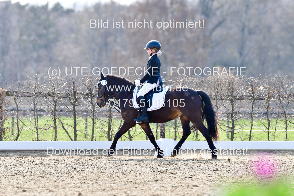 Reitsportzentrum Bremervörde | Reiter WB 2 Abt _020