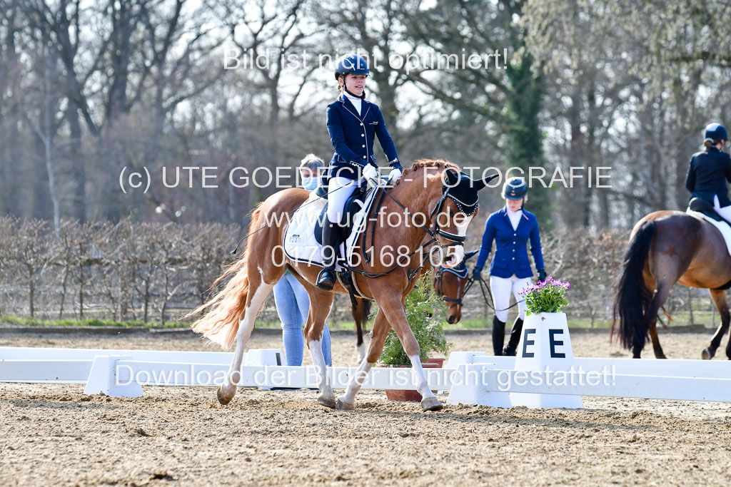 Reitsportzentrum Bremervörde | Reiter WB 2 Abt _022