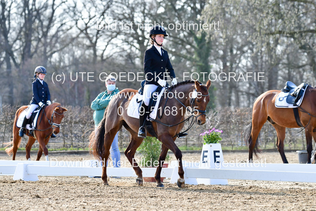 Reitsportzentrum Bremervörde | Reiter WB 2 Abt _024