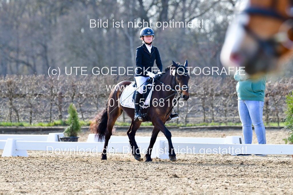Reitsportzentrum Bremervörde | Reiter WB 2 Abt _028