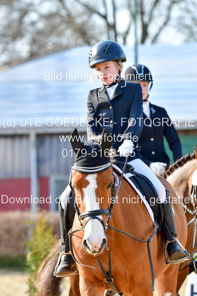 Reitsportzentrum Bremervörde | Reiter WB 2 Abt _030