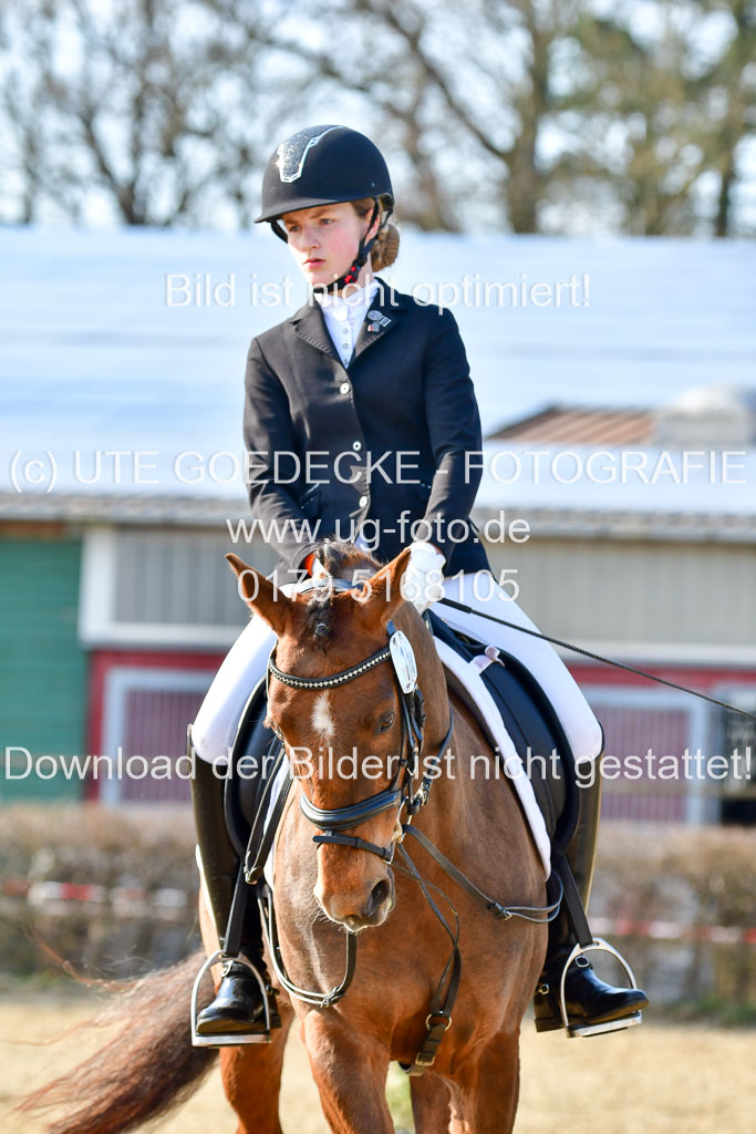Reitsportzentrum Bremervörde | Reiter WB 2 Abt _031