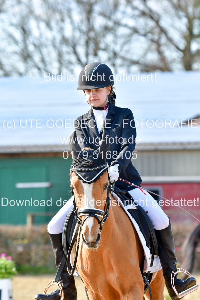 Reitsportzentrum Bremervörde | Reiter WB 2 Abt _032