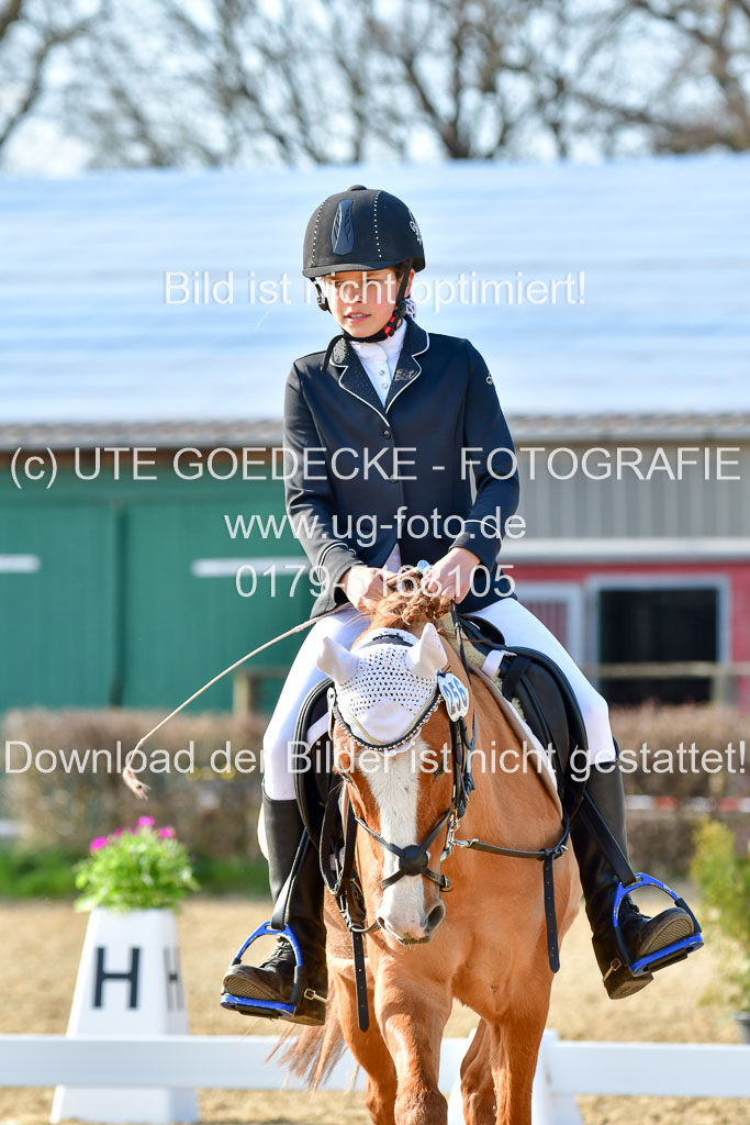 Reitsportzentrum Bremervörde | Reiter WB 2 Abt _033