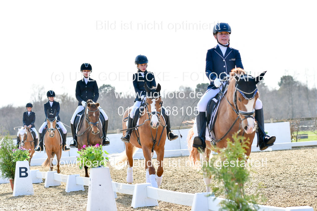 Reitsportzentrum Bremervörde | Reiter WB 2 Abt _037