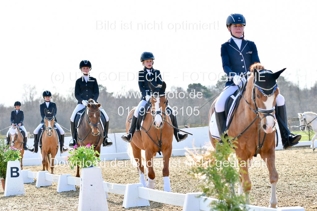 Reitsportzentrum Bremervörde | Reiter WB 2 Abt _038