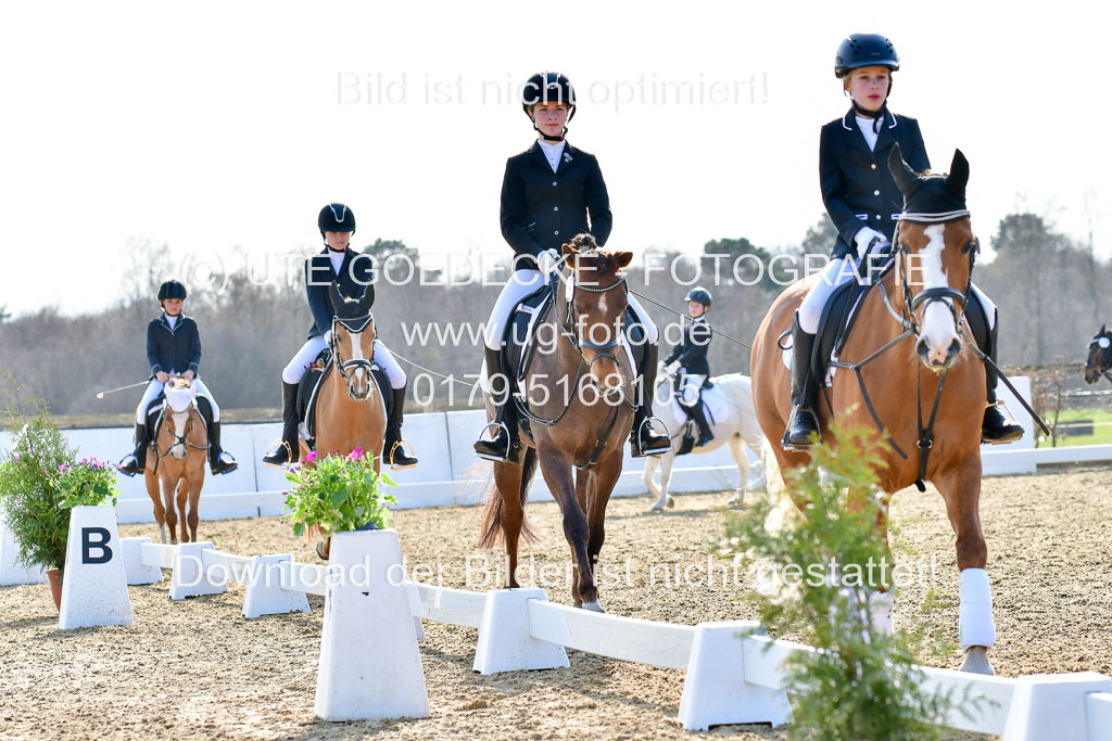Reitsportzentrum Bremervörde | Reiter WB 2 Abt _039