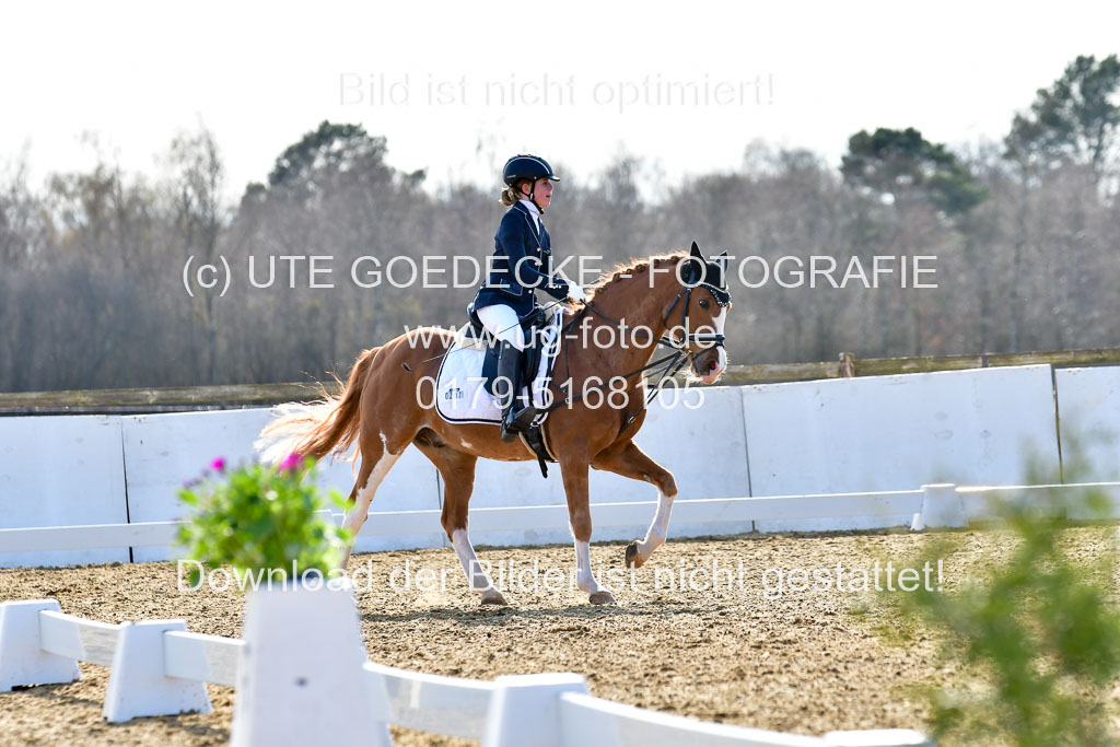 Reitsportzentrum Bremervörde | Reiter WB 2 Abt _040