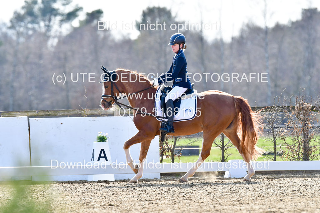 Reitsportzentrum Bremervörde | Reiter WB 2 Abt _041