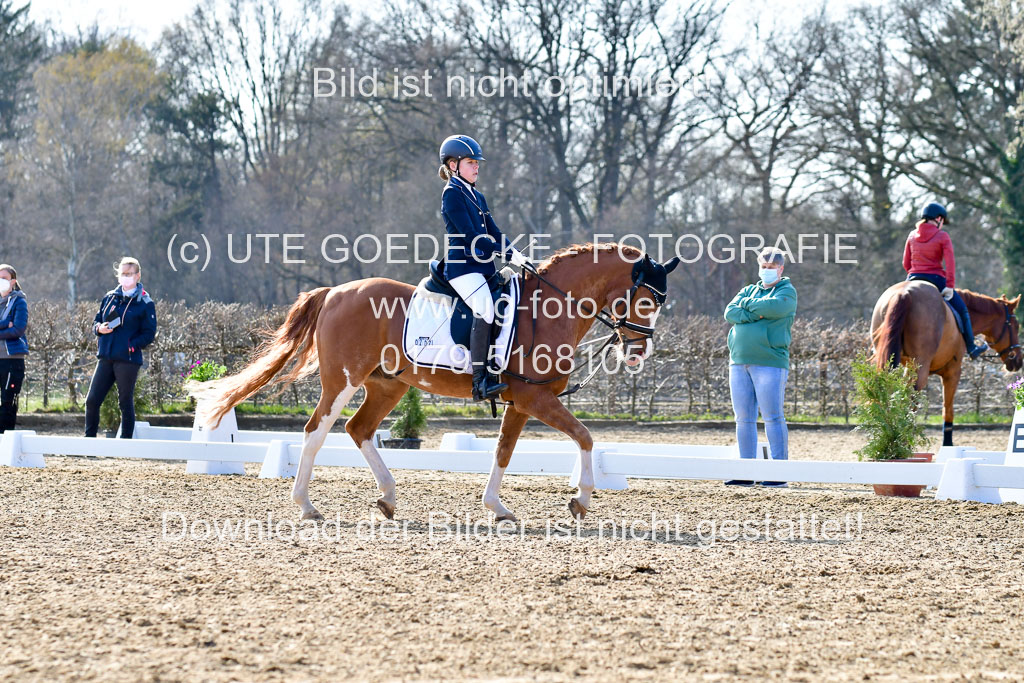 Reitsportzentrum Bremervörde | Reiter WB 2 Abt _042