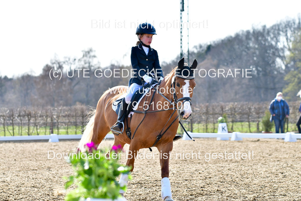 Reitsportzentrum Bremervörde | Reiter WB 2 Abt _046
