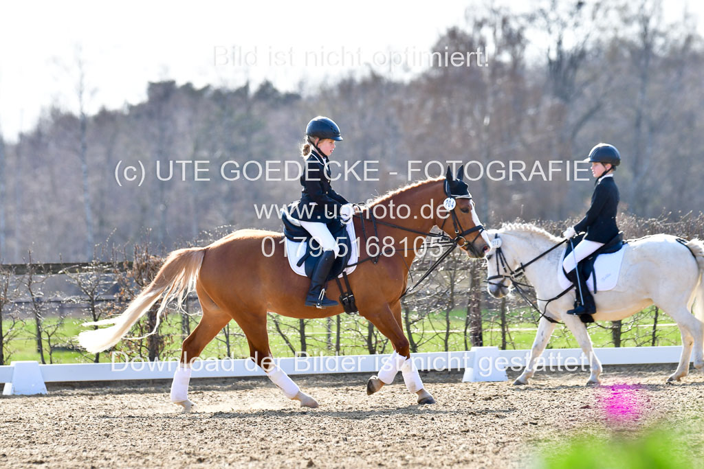 Reitsportzentrum Bremervörde | Reiter WB 2 Abt _047