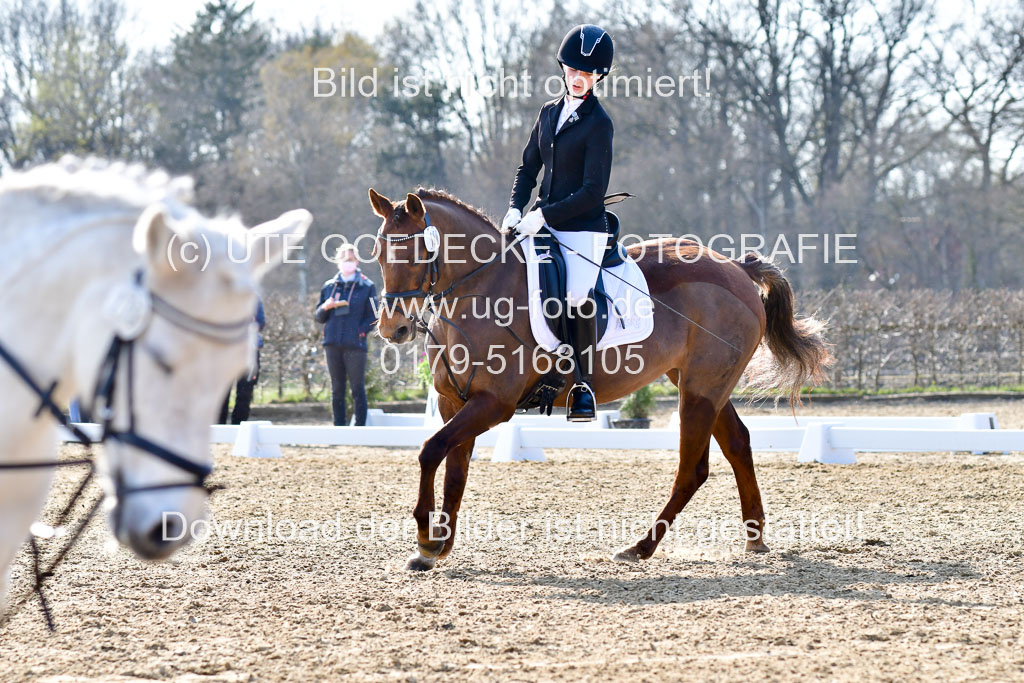 Reitsportzentrum Bremervörde | Reiter WB 2 Abt _049