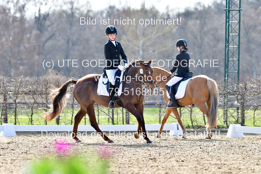 Reitsportzentrum Bremervörde | Reiter WB 2 Abt _050