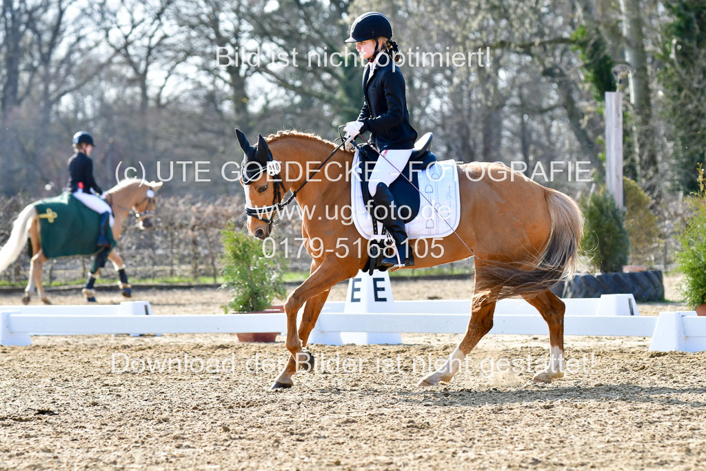 Reitsportzentrum Bremervörde | Reiter WB 2 Abt _052