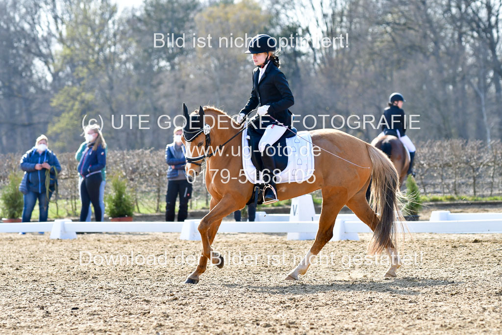 Reitsportzentrum Bremervörde | Reiter WB 2 Abt _053