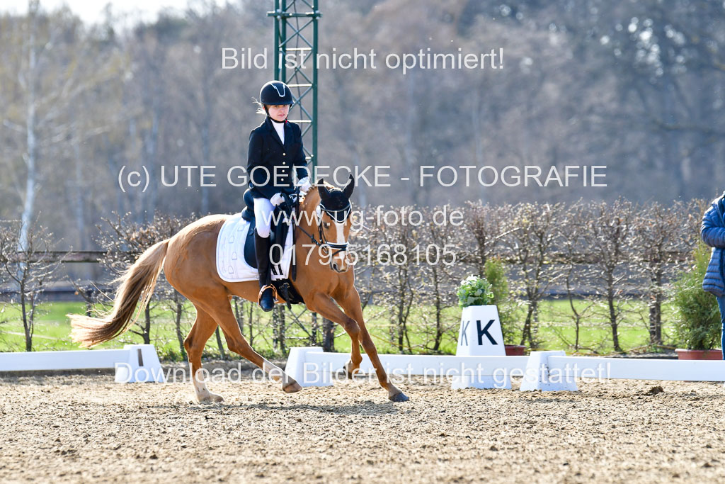 Reitsportzentrum Bremervörde | Reiter WB 2 Abt _054