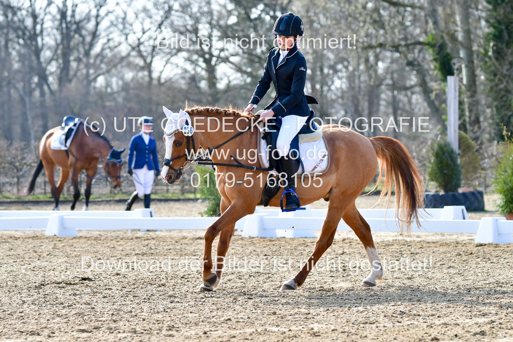 Reitsportzentrum Bremervörde | Reiter WB 2 Abt _057