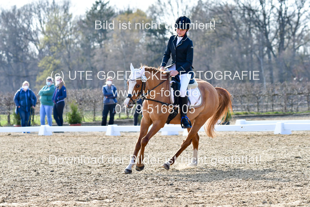 Reitsportzentrum Bremervörde | Reiter WB 2 Abt _058