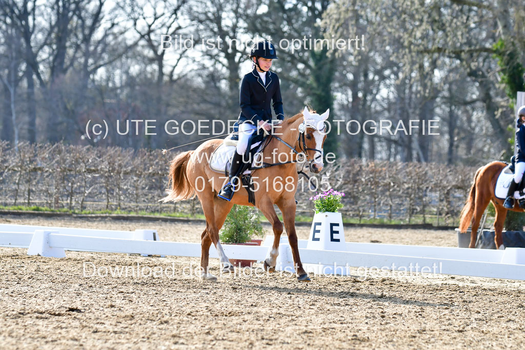 Reitsportzentrum Bremervörde | Reiter WB 2 Abt _060