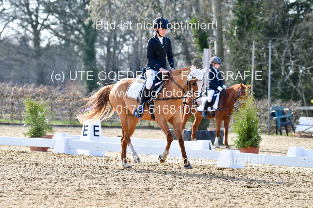 Reitsportzentrum Bremervörde | Reiter WB 2 Abt _061