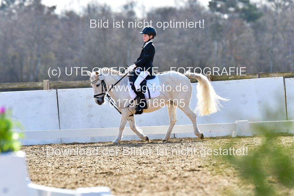 Reitsportzentrum Bremervörde | Reiter WB 2 Abt _062