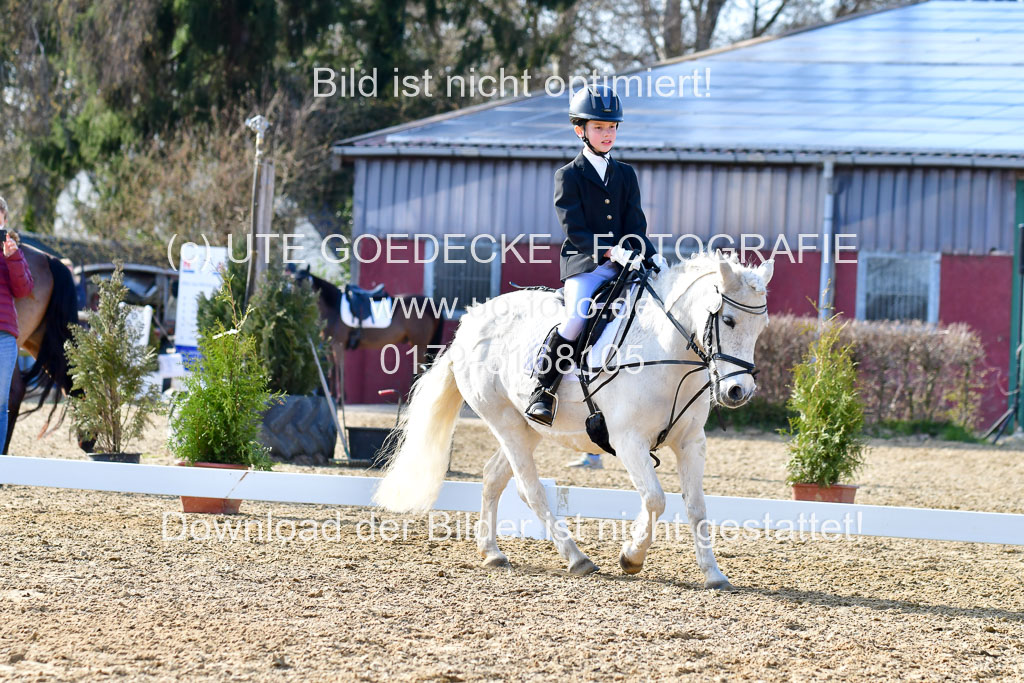 Reitsportzentrum Bremervörde | Reiter WB 2 Abt _064