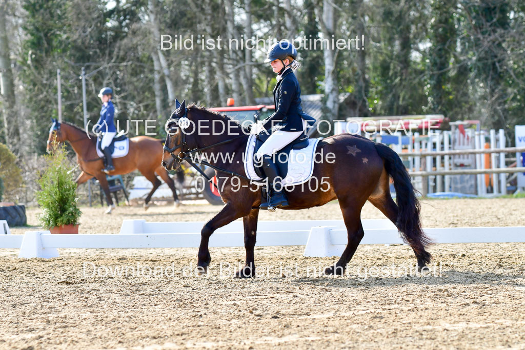 Reitsportzentrum Bremervörde | Reiter WB 2 Abt _065