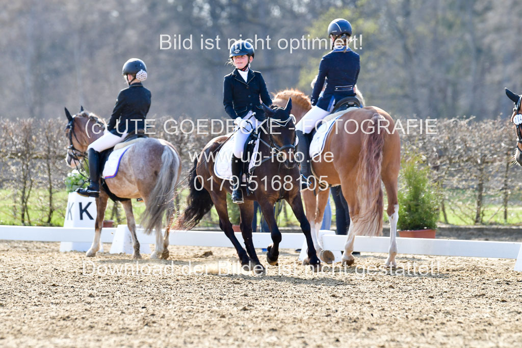 Reitsportzentrum Bremervörde | Reiter WB 2 Abt _068