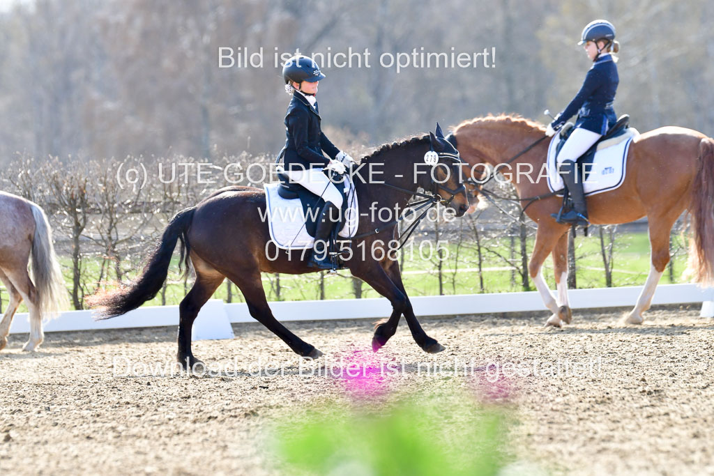 Reitsportzentrum Bremervörde | Reiter WB 2 Abt _069